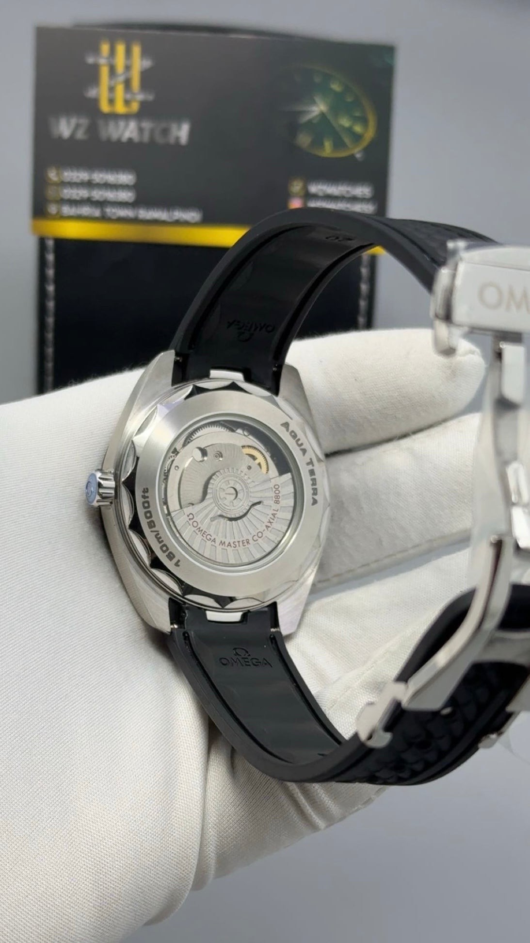 Silver with Blue Dial.